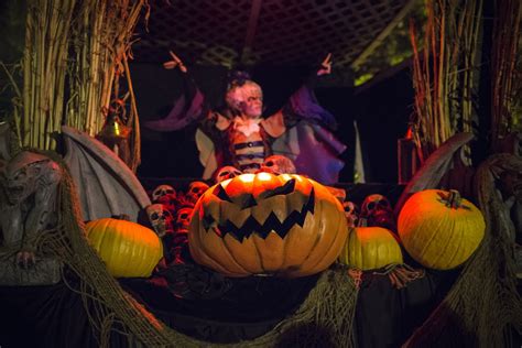 The Pumpkin Magi Lantern: A Symbol of Protection and Good Luck